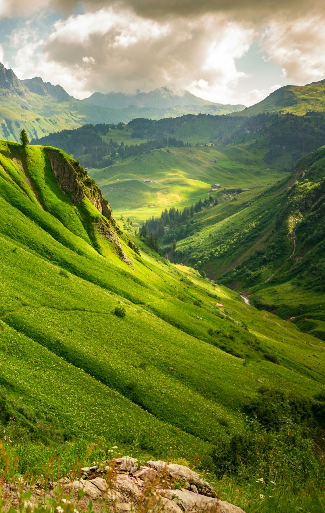 Nature Photography - Landscape